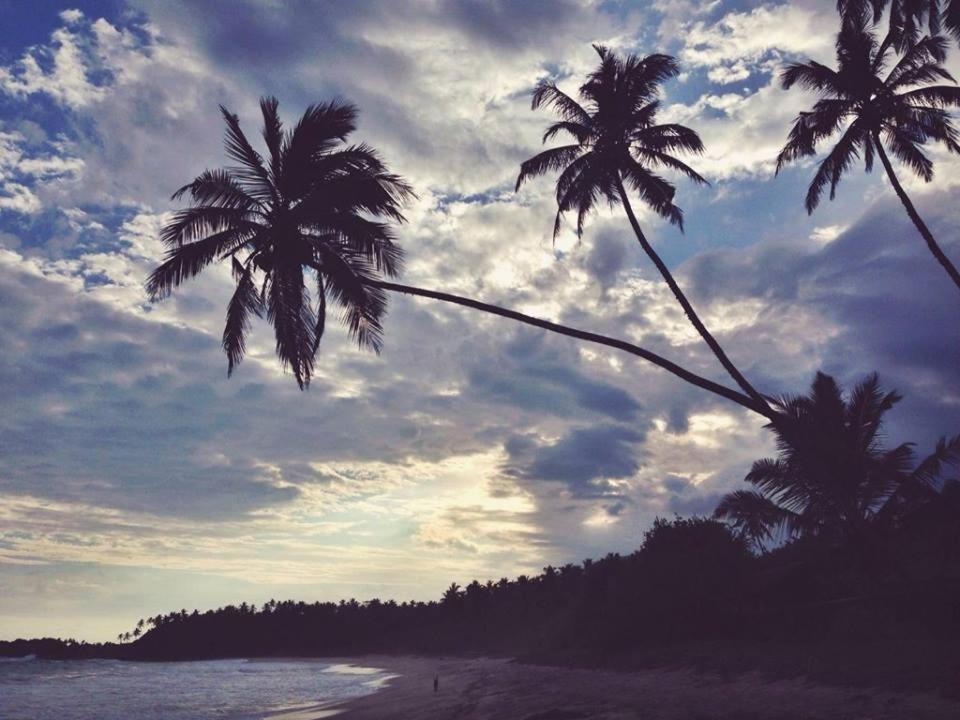 Solar House Hotel Tangalle Eksteriør billede
